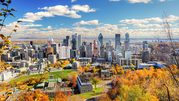 McGill University Offering Management Courses in Canada