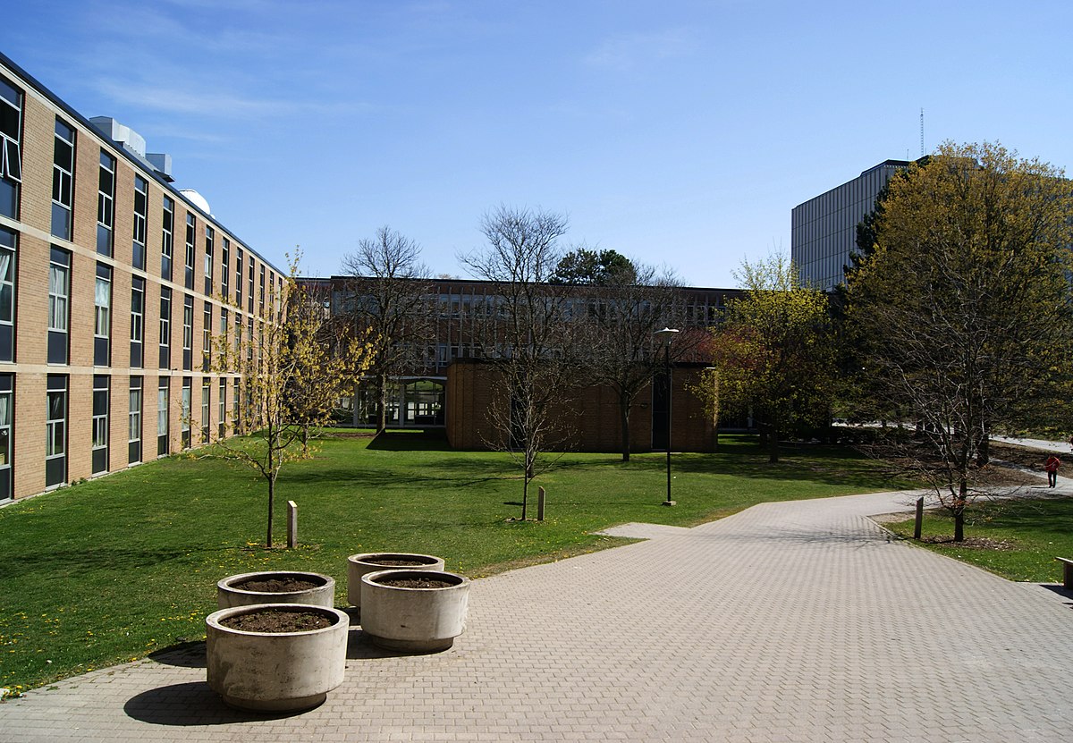image11 image11