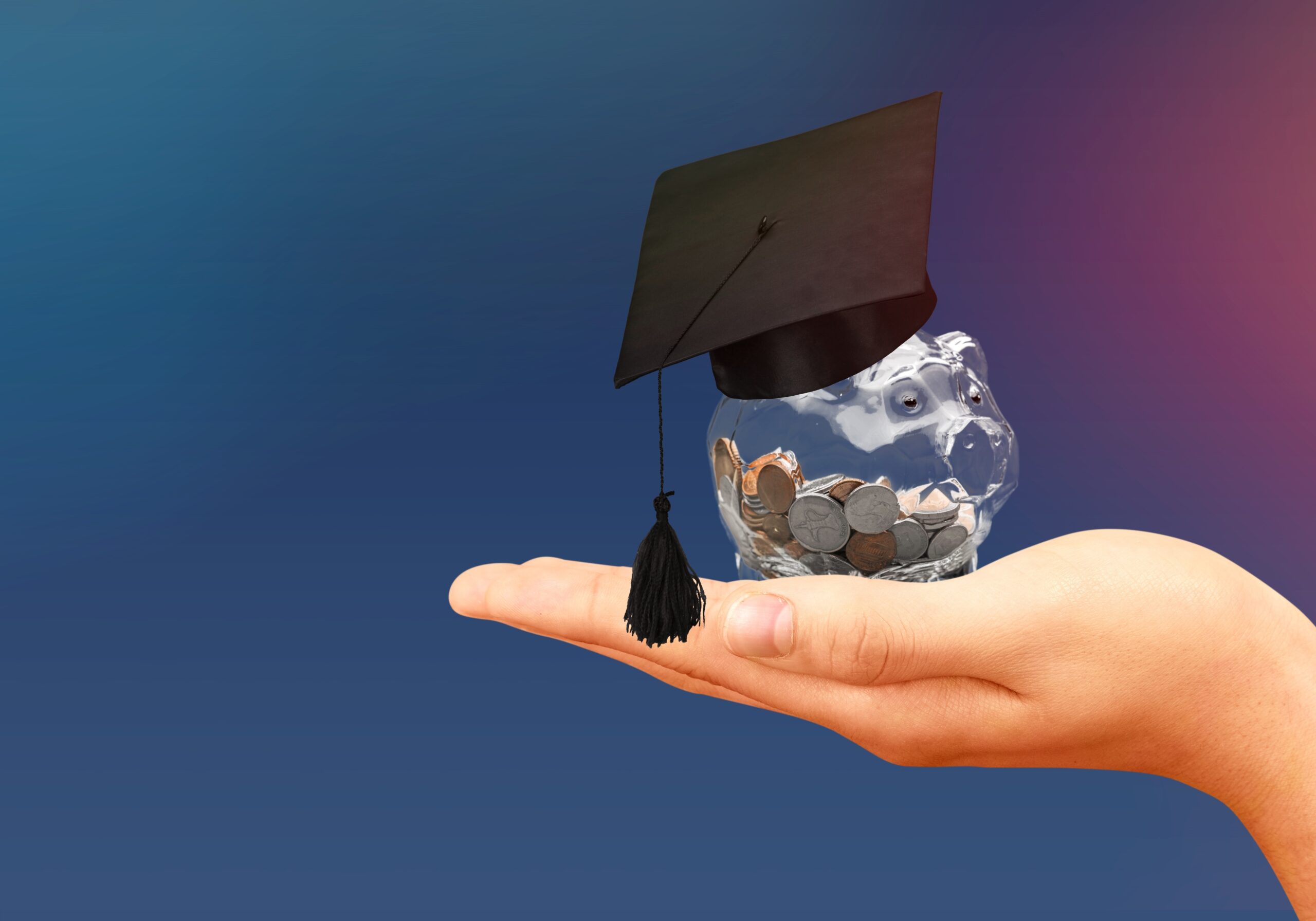 Education scholarship student icon investment money academic