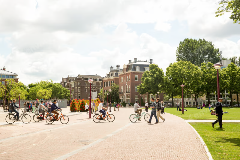 Best Cities in Netherlands for International Students