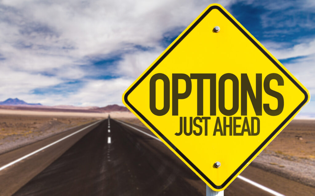 Options,Just,Ahead,Sign,On,Desert,Road
