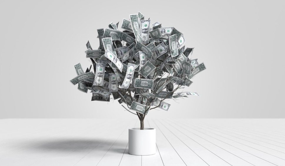 Money Tree